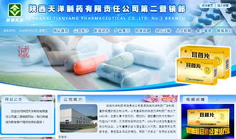 設(shè)計(jì)案例 陜西 萬企互聯(lián) 專業(yè)提供網(wǎng)站建設(shè) 網(wǎng)站推廣 微信營銷 小程序 域名注冊 虛擬主機(jī) 云服務(wù)器等業(yè)務(wù)